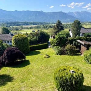 Moos- und Bergblick