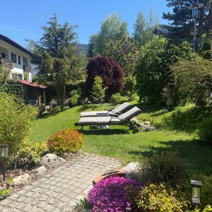 Blick in den Garten