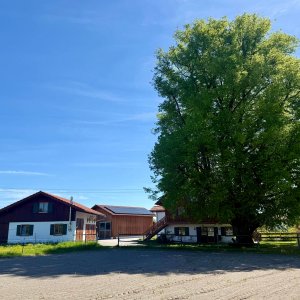 Das weitläufige Gelände