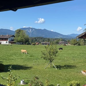 Ausblick Balkon