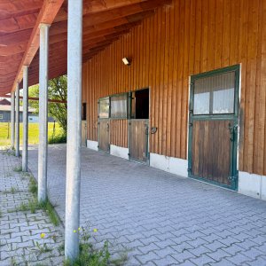 Pferdestall Nordseite
