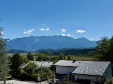 Der Ausblick