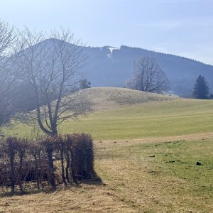 Hörnleblick von oberhalb des Grundstücks