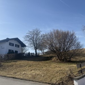 Der südliche Nachbar