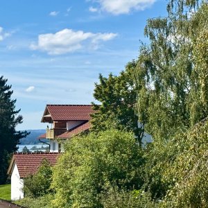 ..mit Blick