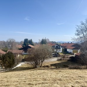 Das Grundstück Richtung Osten