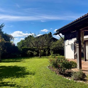 Der Garten