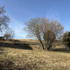 Blick Richtung Westen