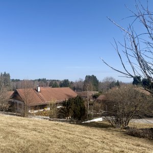 Blick zum nördlichen. Nachbarn