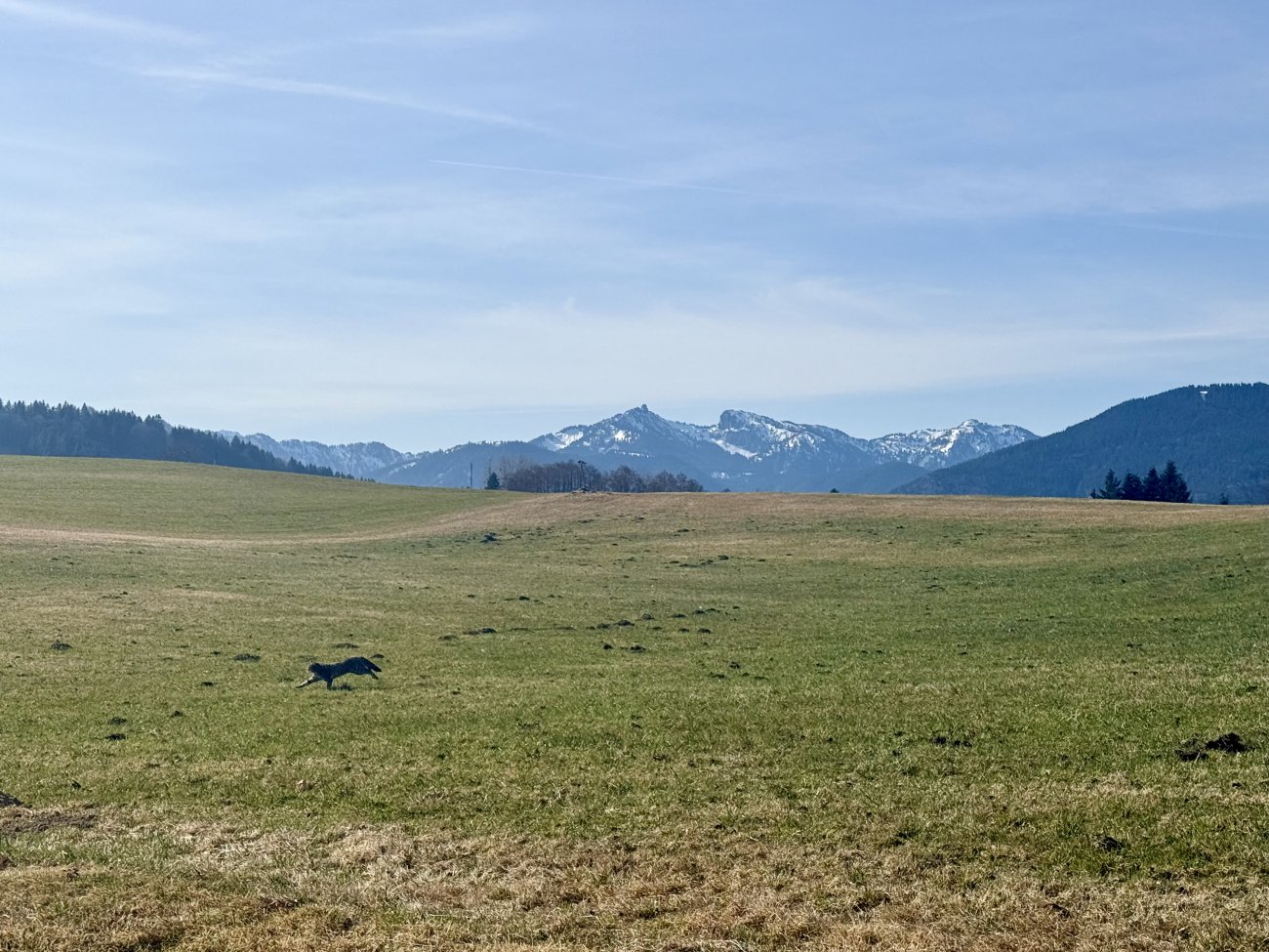 Die angrenzenden Wiesen mit Blick